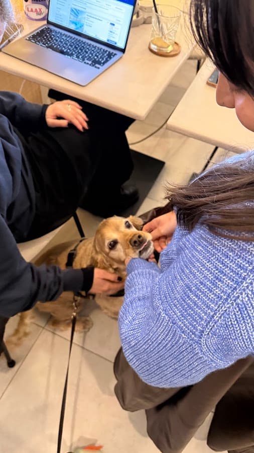Coworker with dog at Elevada Casual Cowork