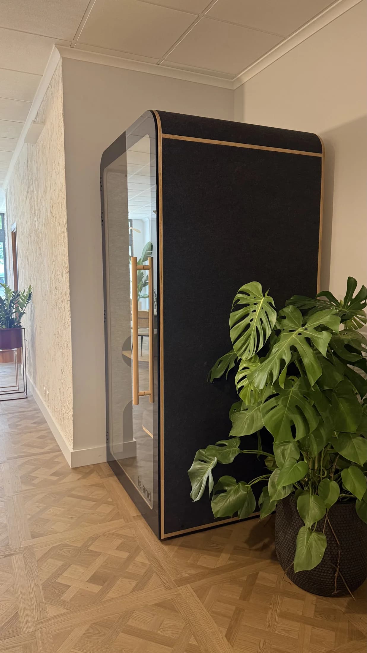 Cabine de chamadas fechada junto a uma planta no Club Cowork